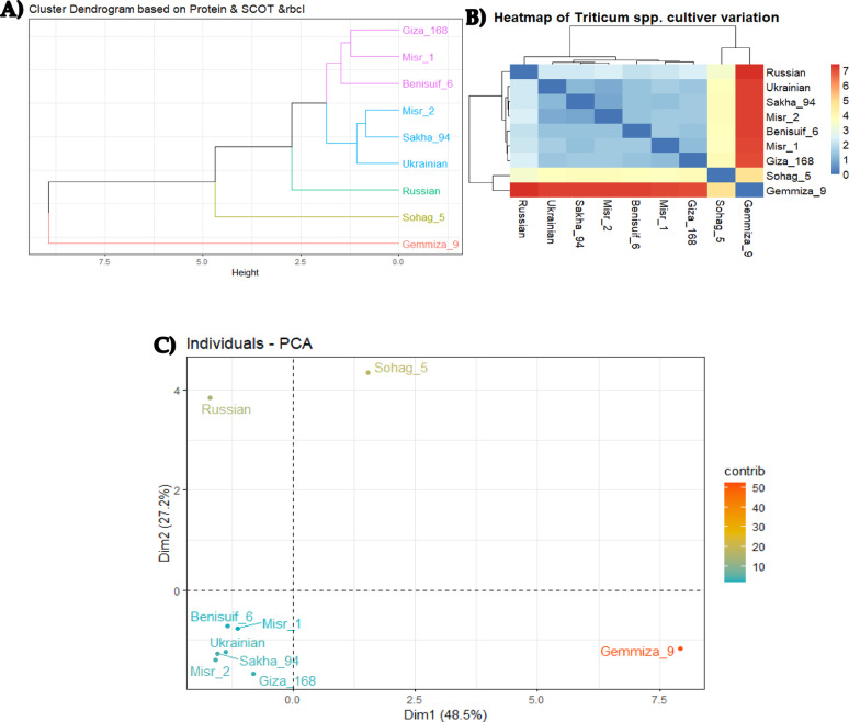 PMC12341216 – Fig13
