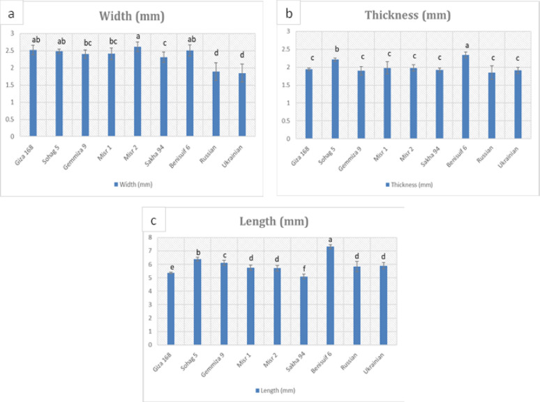 PMC12341216 – Fig1