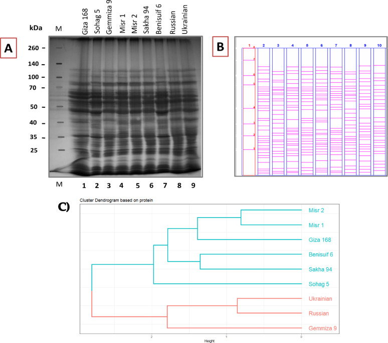 PMC12341216 – Fig8