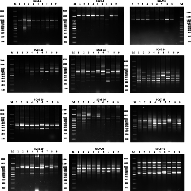 PMC12341216 – Fig9