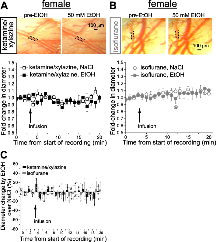 PMC10714523 – Fig3