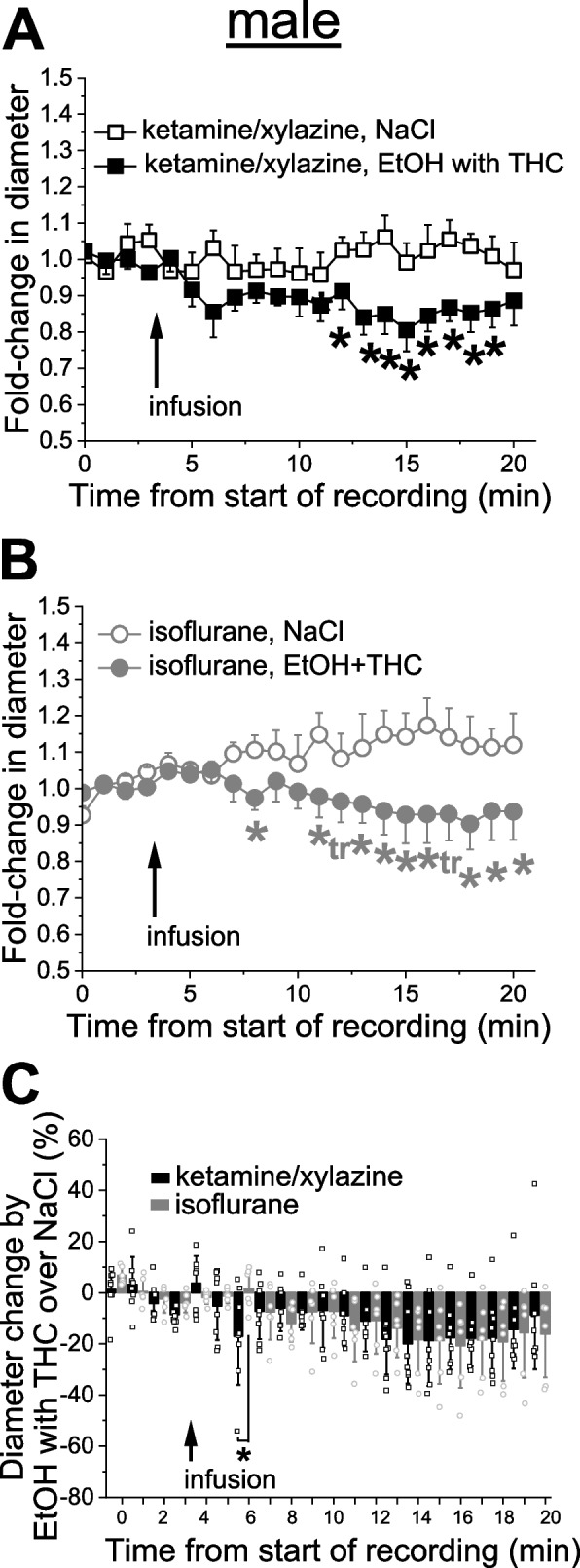 PMC10714523 – Fig6