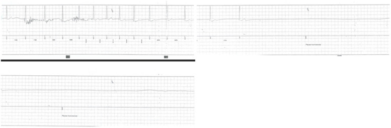 PMC10598970 – Fig1