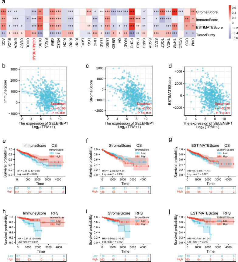 PMC9575293 – Fig6