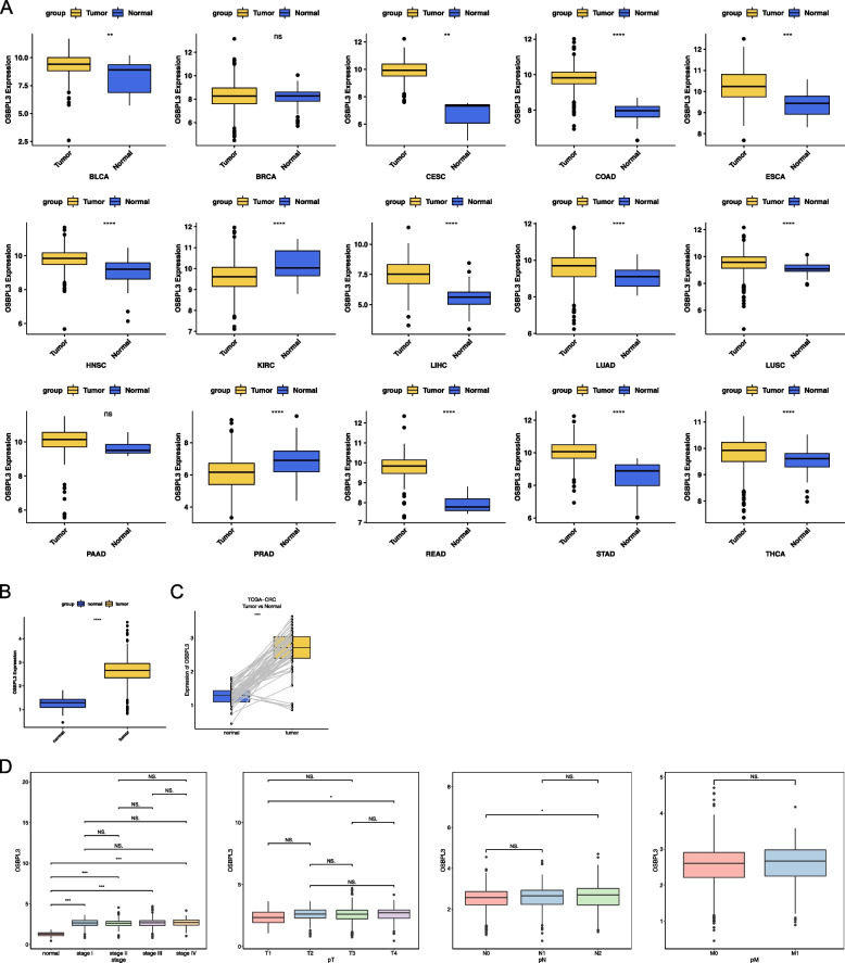 PMC10408063 – Fig1