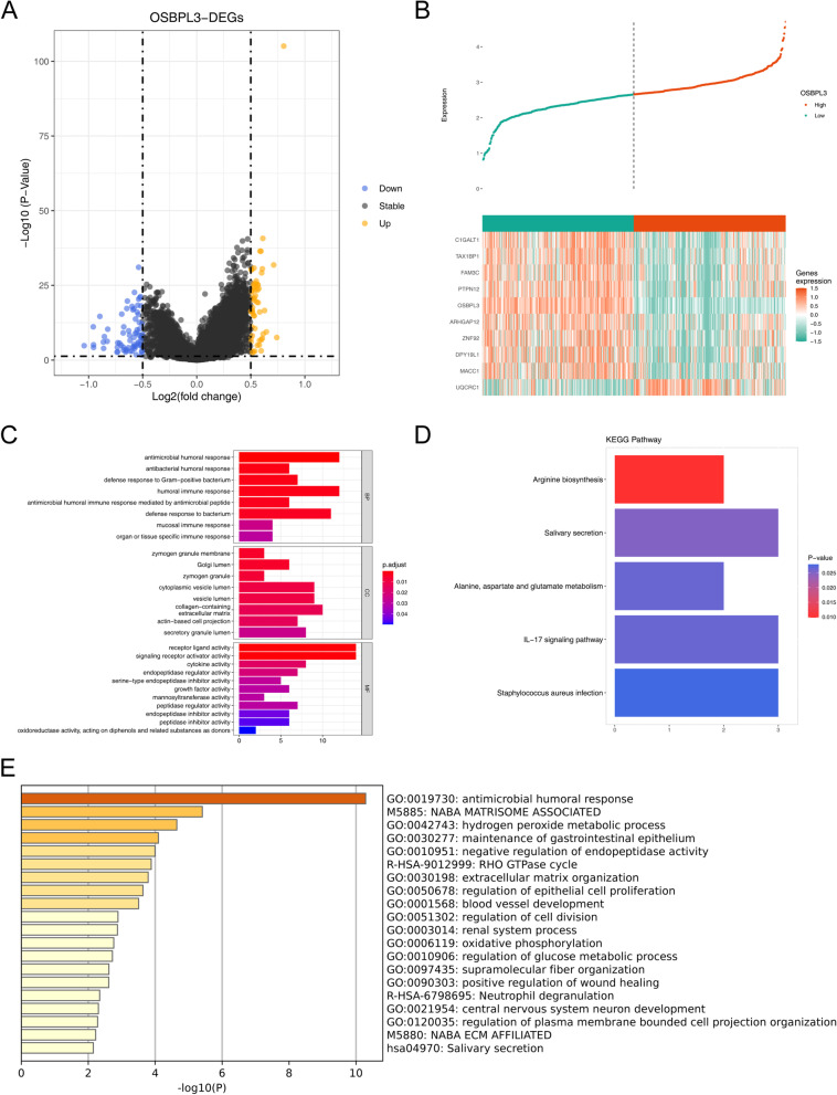 PMC10408063 – Fig5