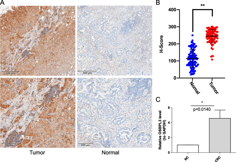 PMC10408063 – Fig8