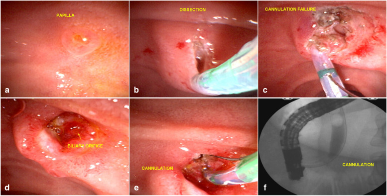 PMC10687980 – Fig6