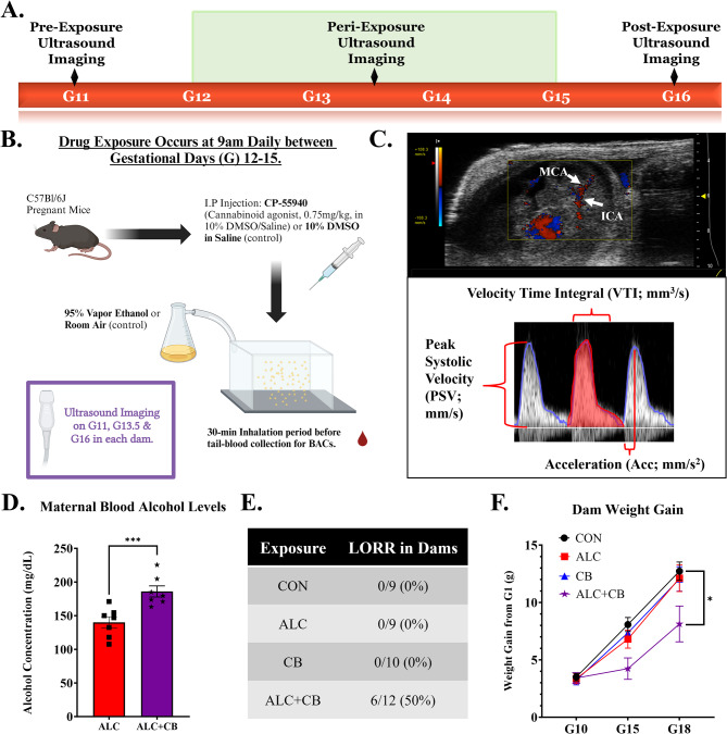 PMC11007973 – Fig1