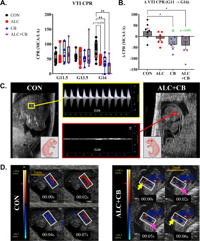 PMC11007973 – Fig3