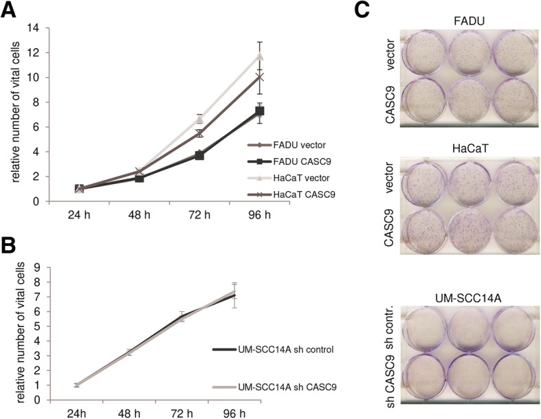 PMC6694542 – Fig6