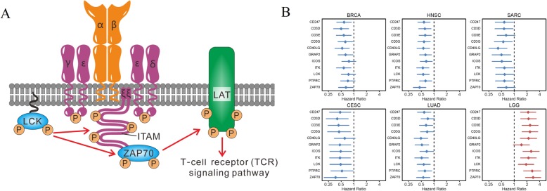 PMC6915928 – Fig3