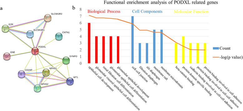 PMC7331259 – Fig6