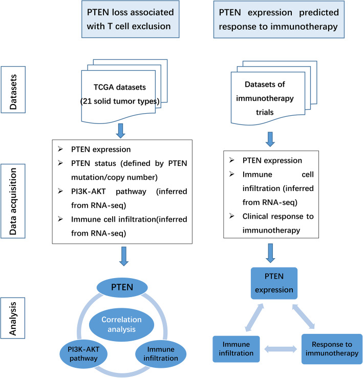 PMC8054401 – Fig1