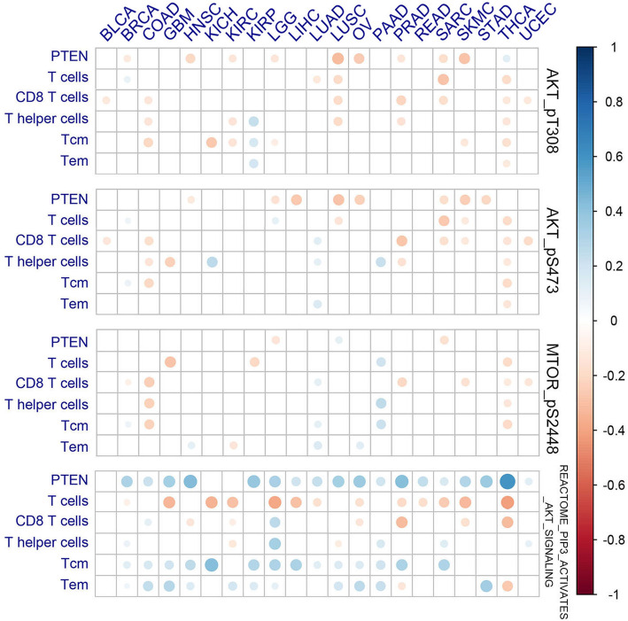 PMC8054401 – Fig5