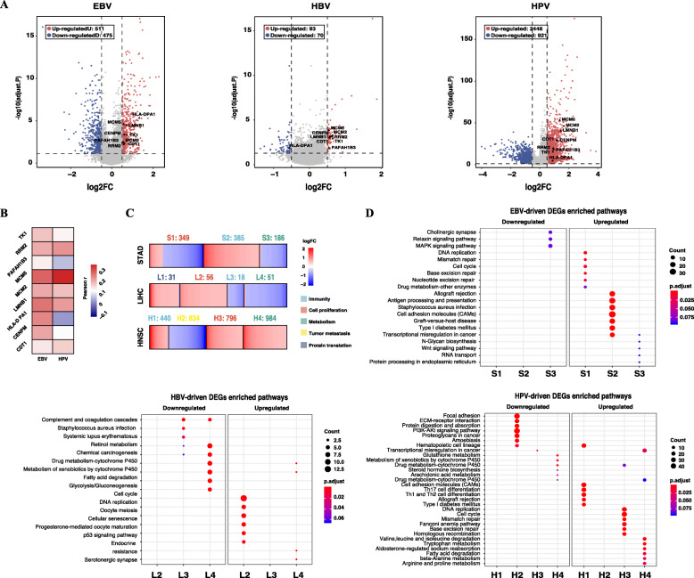 PMC8571886 – Fig4