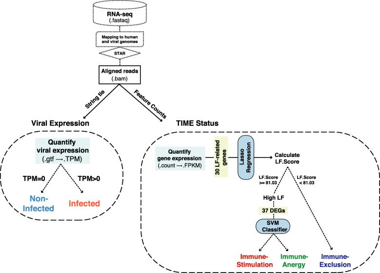 PMC8571886 – Fig8