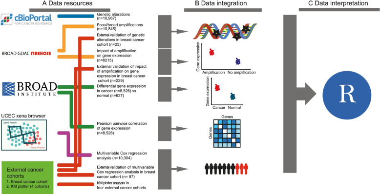PMC9484138 – Fig1
