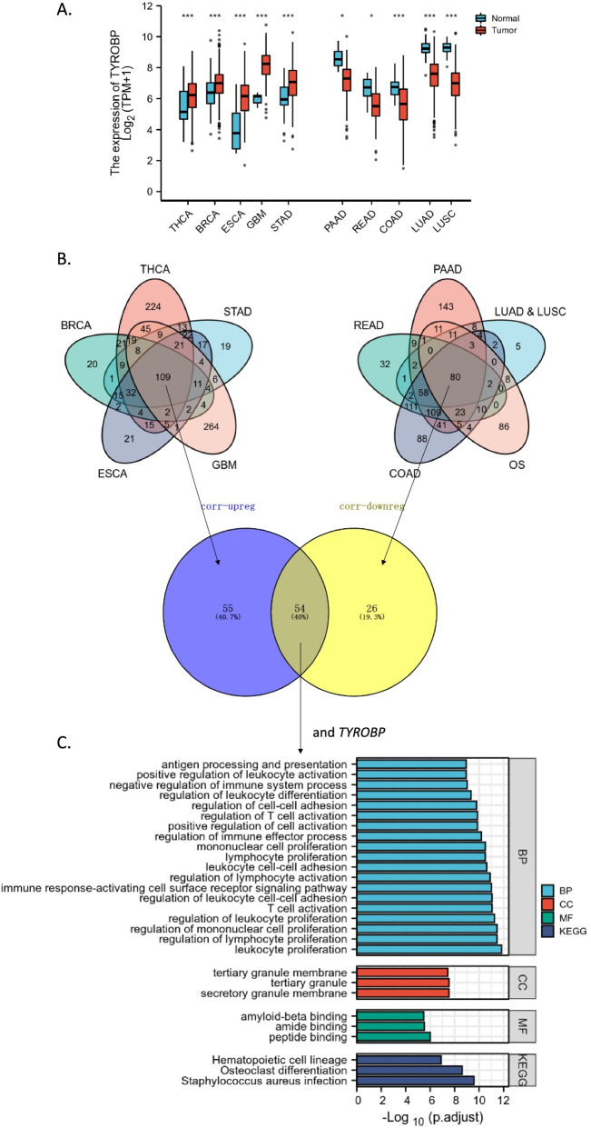 PMC8790913 – Fig4