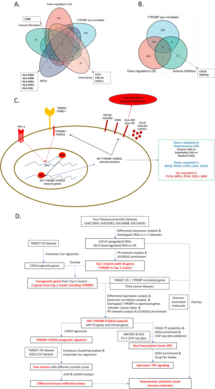 PMC8790913 – Fig8