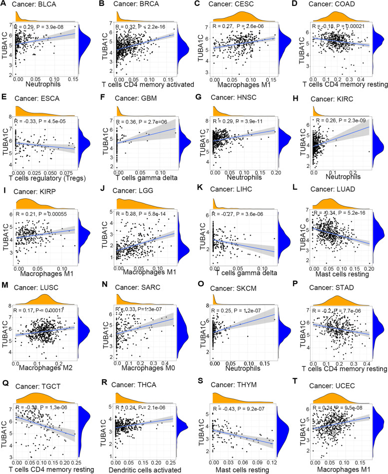 PMC9074327 – Fig10