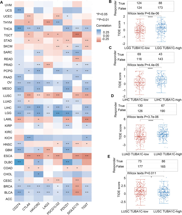 PMC9074327 – Fig11