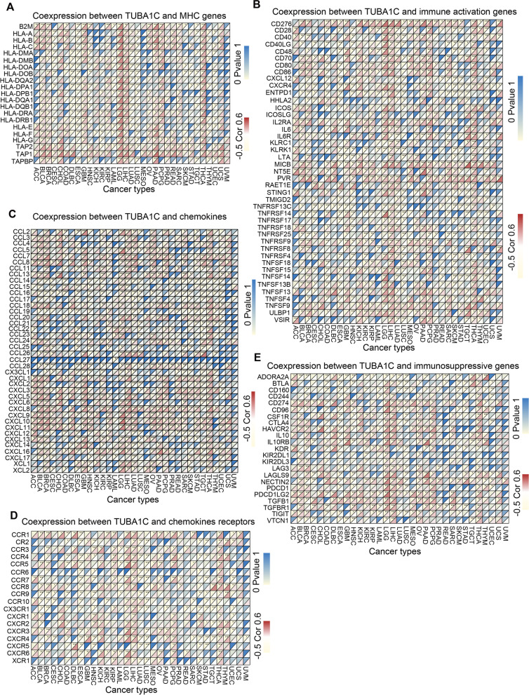 PMC9074327 – Fig12