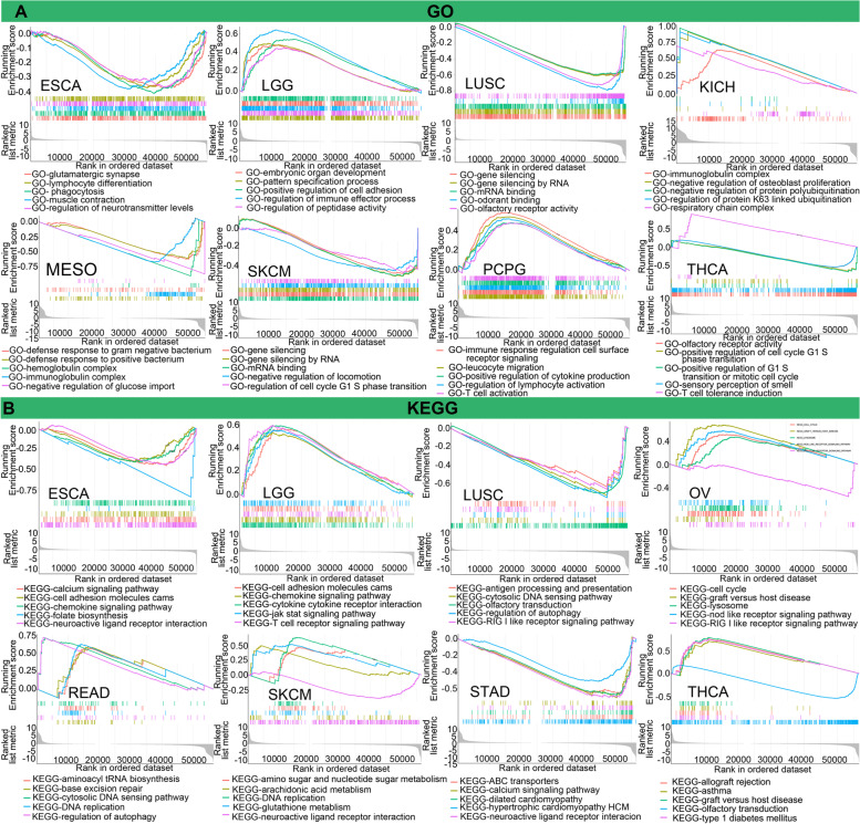 PMC9074327 – Fig13