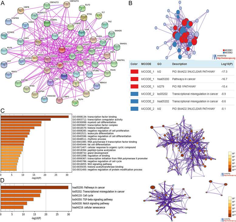 PMC9088136 – Fig10
