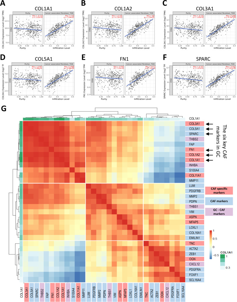 PMC9229147 – Fig4