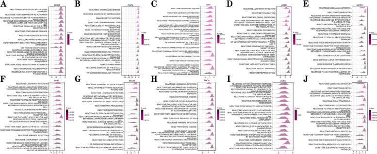 PMC9885708 – Fig10