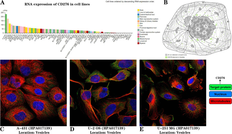 PMC9885708 – Fig4