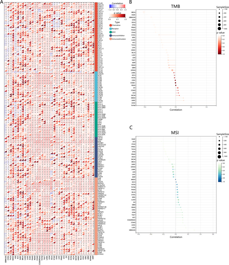 PMC10035130 – Fig4