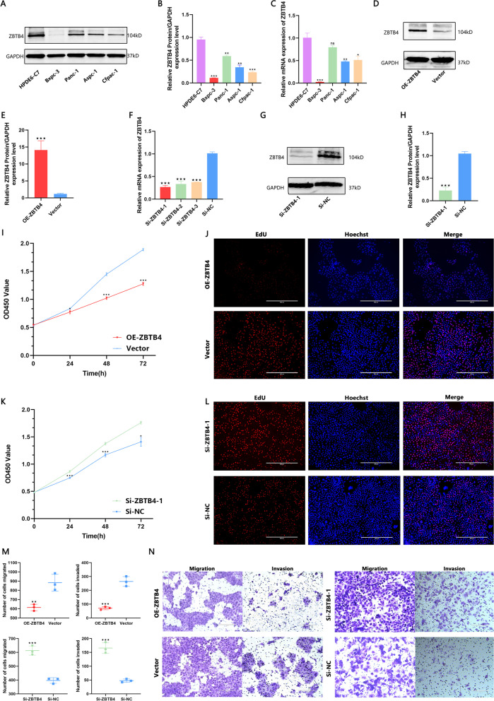 PMC10035130 – Fig7