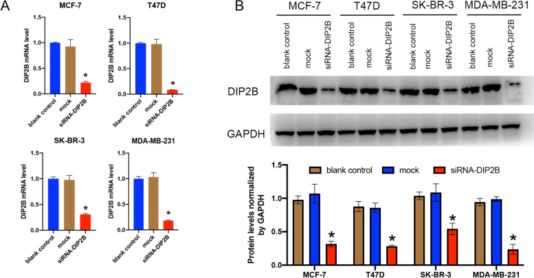 PMC10064539 – Fig11