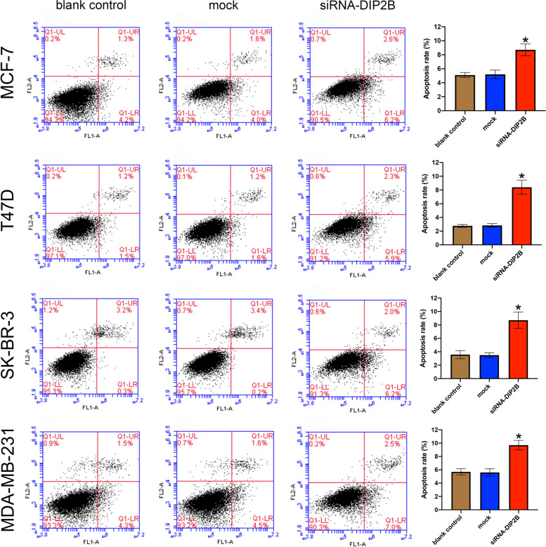PMC10064539 – Fig13