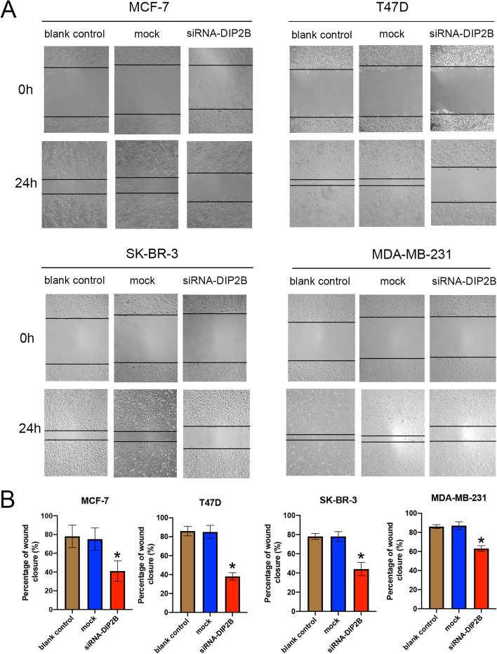 PMC10064539 – Fig14