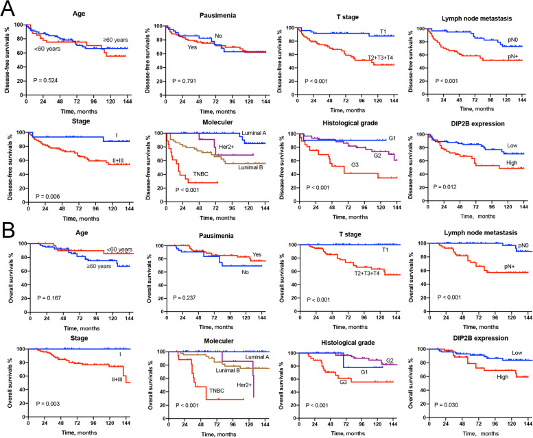 PMC10064539 – Fig16