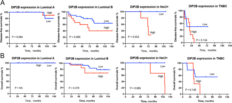 PMC10064539 – Fig17