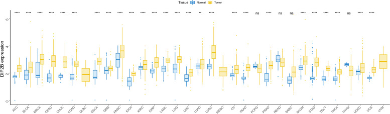 PMC10064539 – Fig1