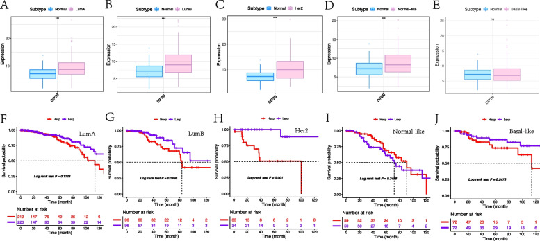 PMC10064539 – Fig6