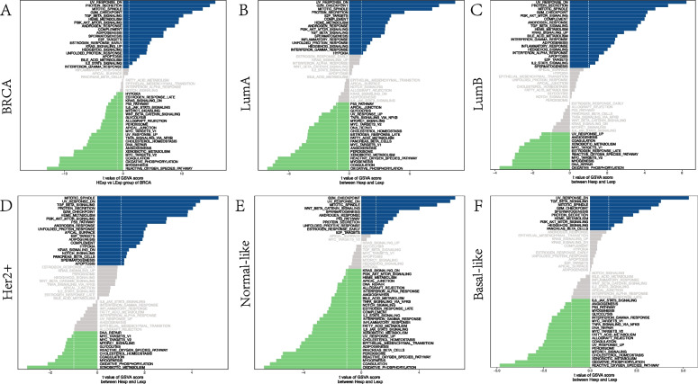 PMC10064539 – Fig9