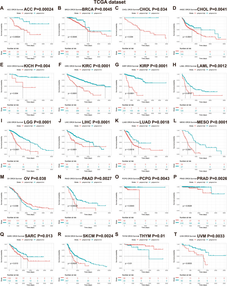 PMC10053432 – Fig3