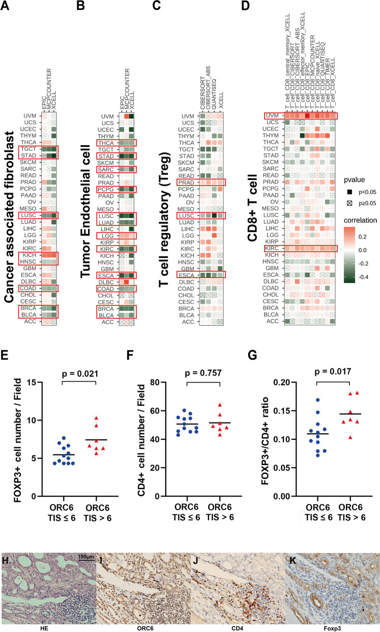 PMC10053432 – Fig8