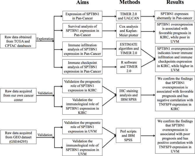 PMC10071745 – Fig1