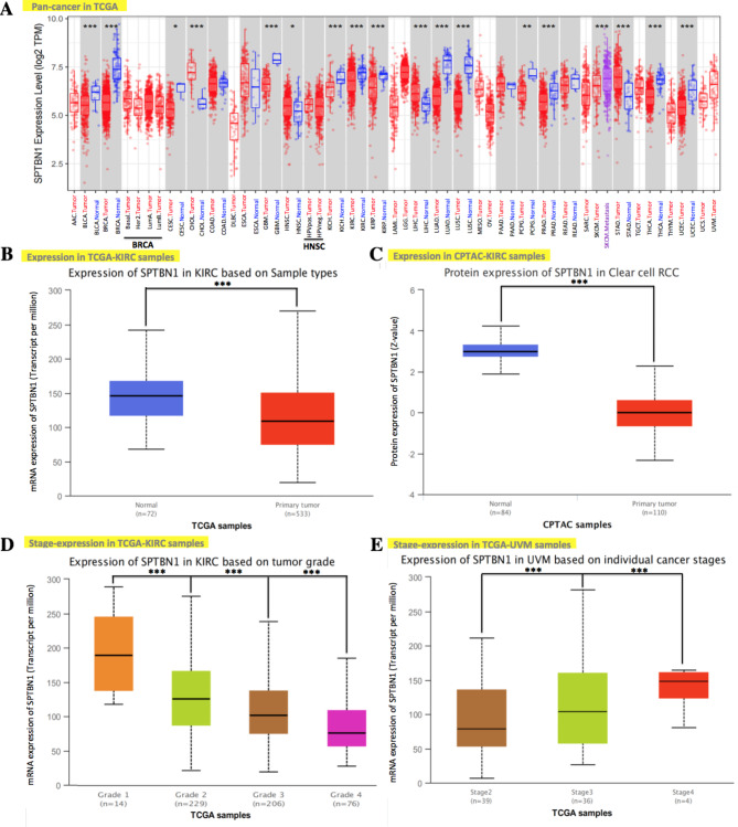 PMC10071745 – Fig2