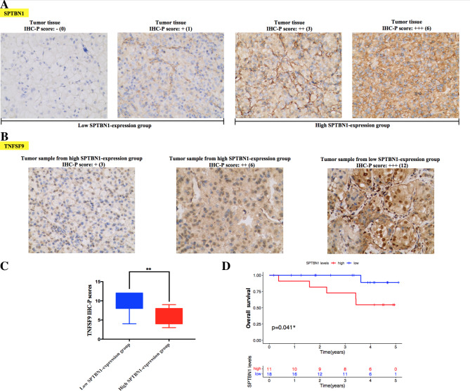 PMC10071745 – Fig7