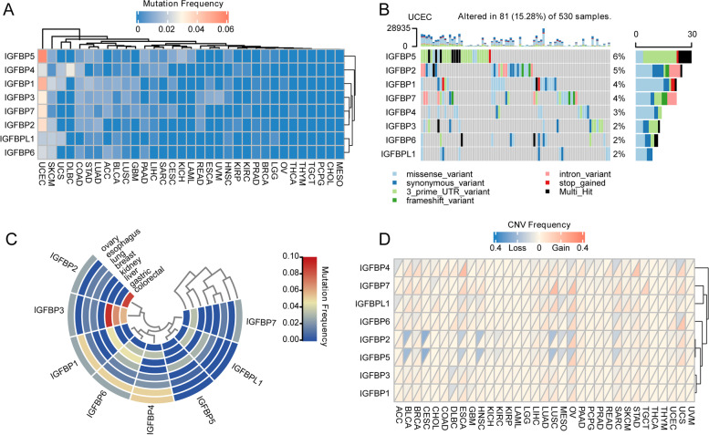 PMC10124011 – Fig13