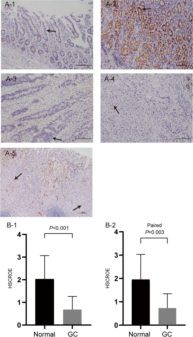 PMC10124011 – Fig15