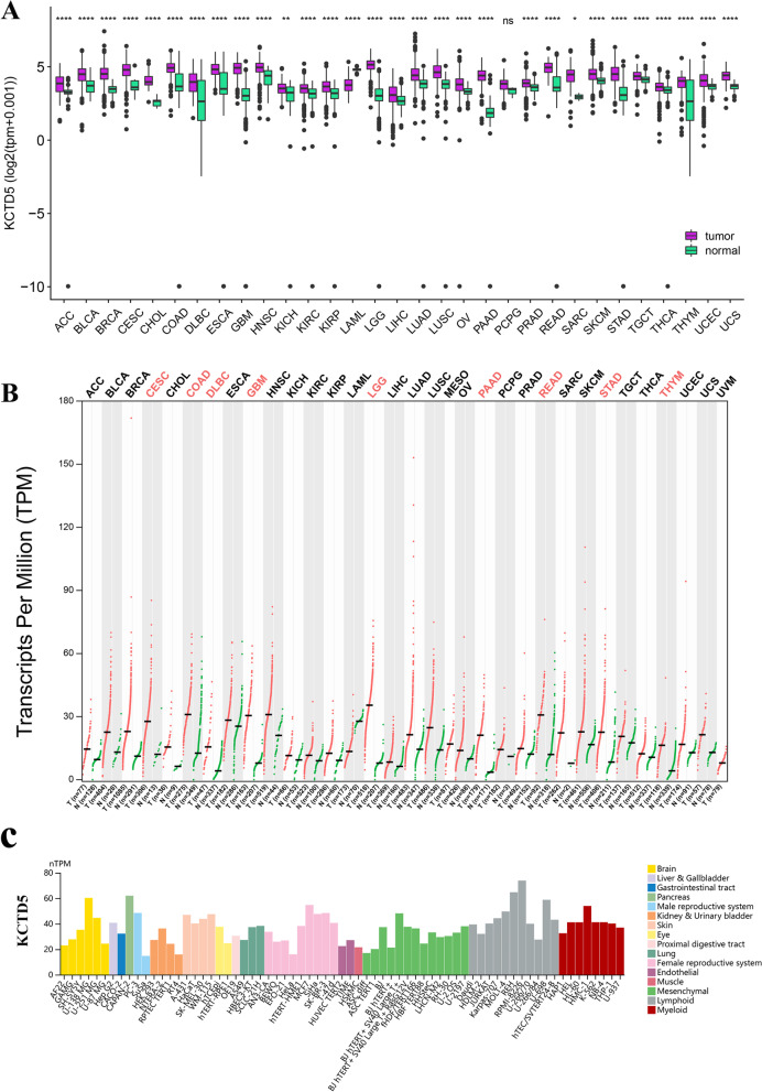 PMC10163697 – Fig1